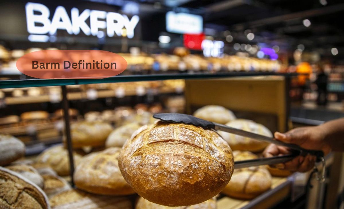 Barm Definition