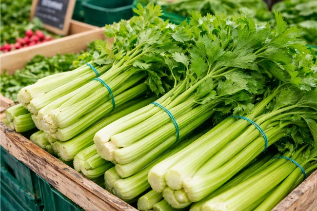 What is Pravi Celer?