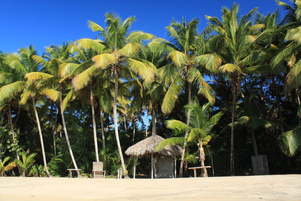 Sustainable and Responsible Veneajelu