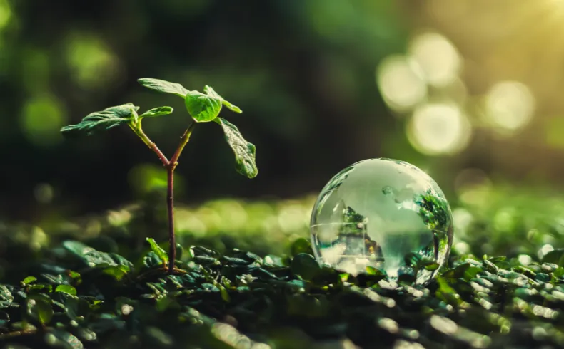 Future of Lufanest - Innovation, Sustainability, and Growth