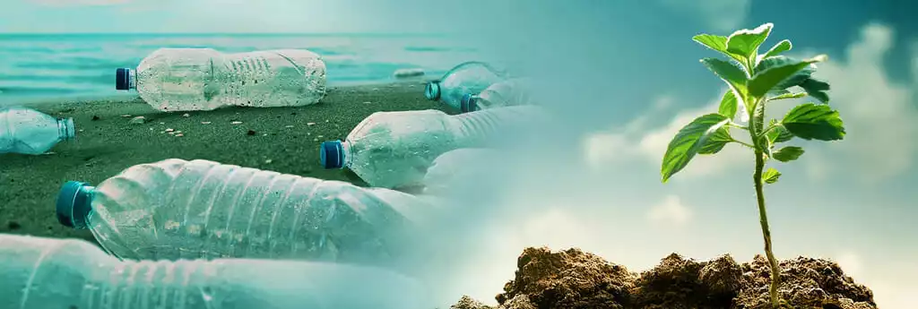 Sustainability and Environmental Benefits