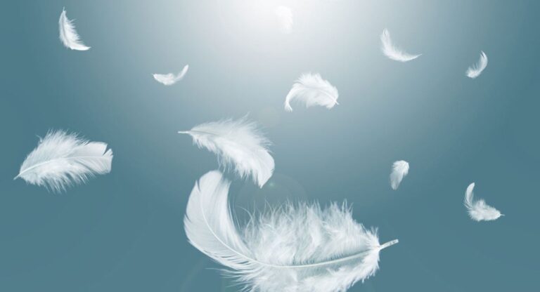 Orange feather meaning – spiritual symbolism of orange feathers representing creativity, emotional balance, intuition, and self-expression.