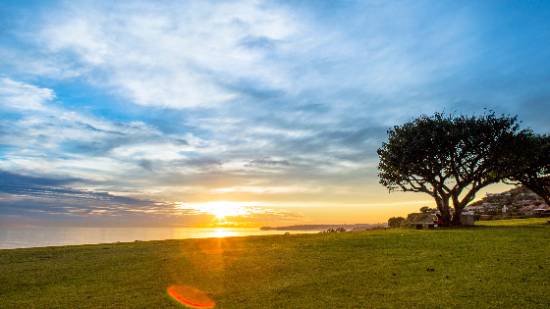 How Lufanest Addresses Urban Community Needs