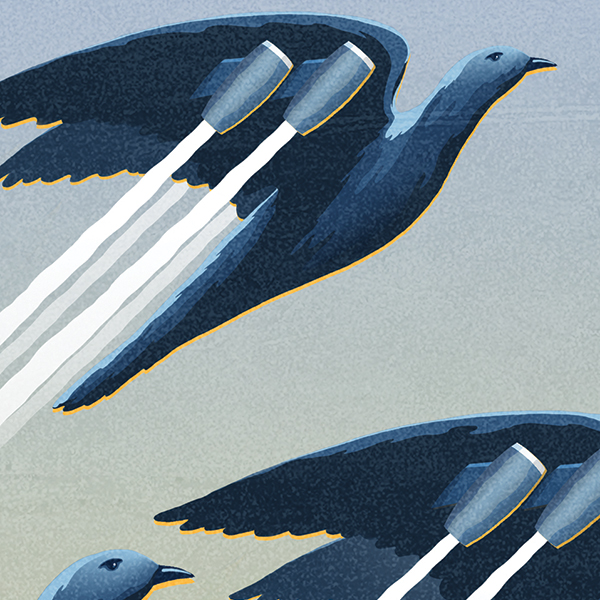 Case Studies: Real-Life Lufanest Transformations